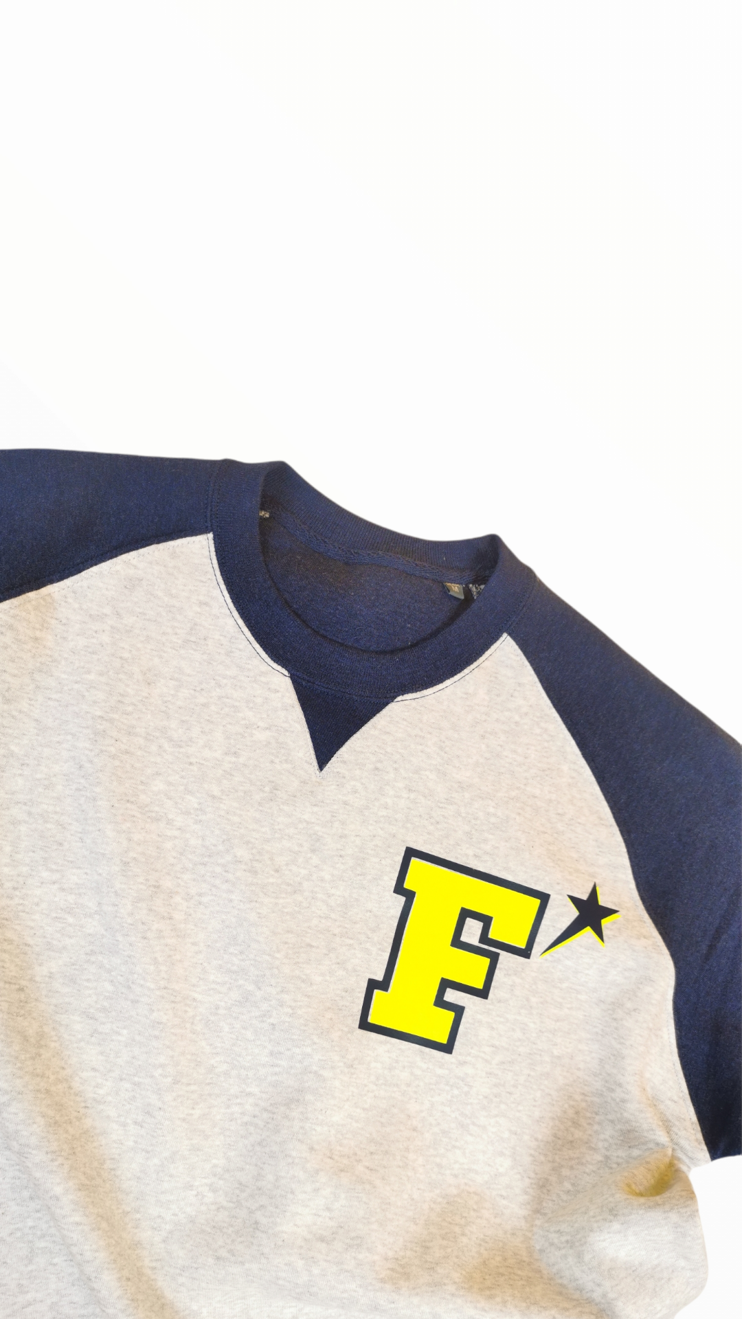 Felpa adulto unisex girocollo BICOLORE grigio/blu