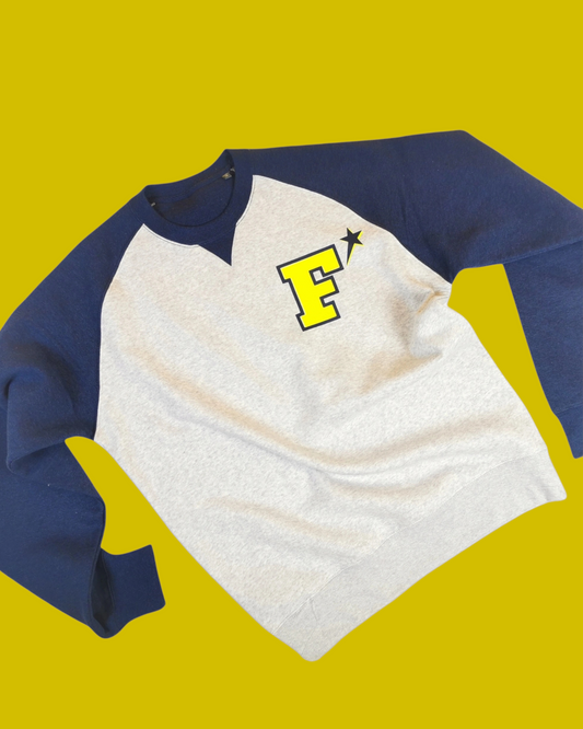 Felpa adulto unisex girocollo  BICOLORE grigio/blu